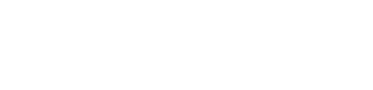 Sea King Capital